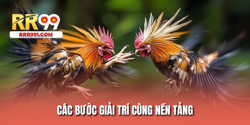 Các bước giải trí cùng nền tảng