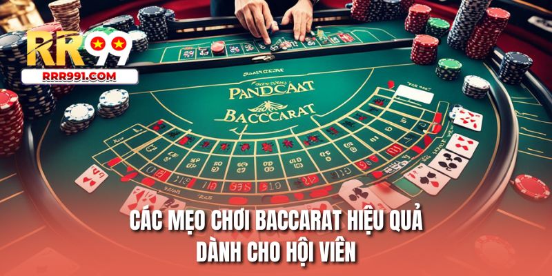 Các mẹo chơi baccarat hiệu quả dành cho hội viên